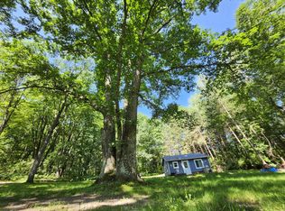 2867 E Hawley Rd, Custer, MI 49405