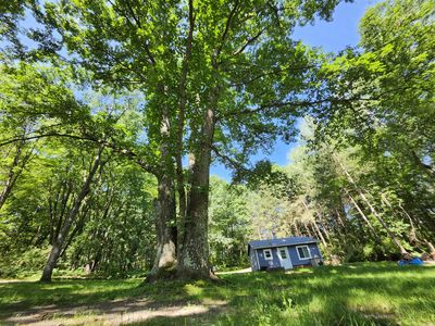 2867 E Hawley Rd, Custer, MI, 49405