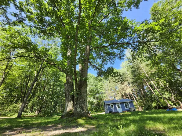 2867 E Hawley Rd, Custer, MI 49405
