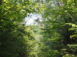 0 W Kneeland Rd, Mio, MI 48647