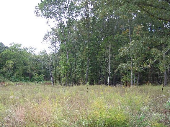 5th image of 203 County Road 578