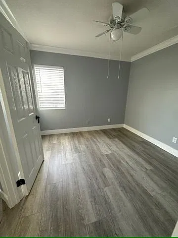3 bed, 2.0 bath, 1495 sqft, $3,200 — Photo 3