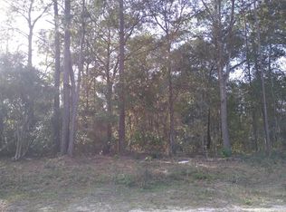 00 SW 181 Ct, Dunnellon, FL 34432
