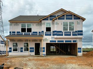 280 Chimney View Loop, Blountville, TN 37617