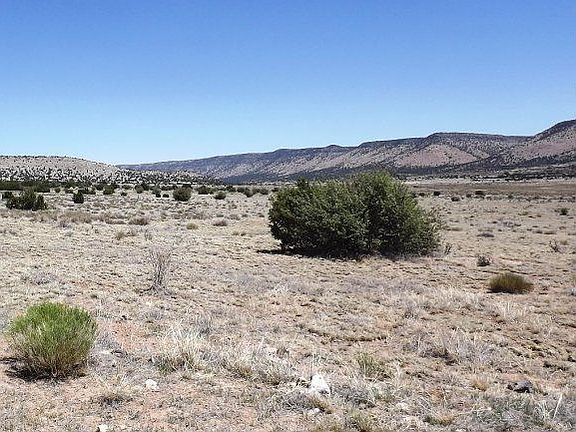 4th image of 54553 N Bridge Canyon Pkwy