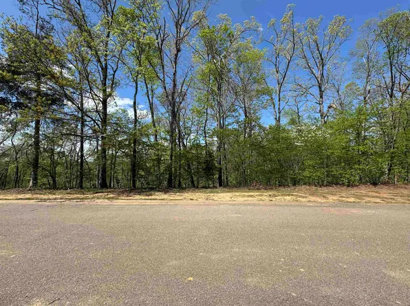 31 Endless View Rdg, Savannah, TN 38372