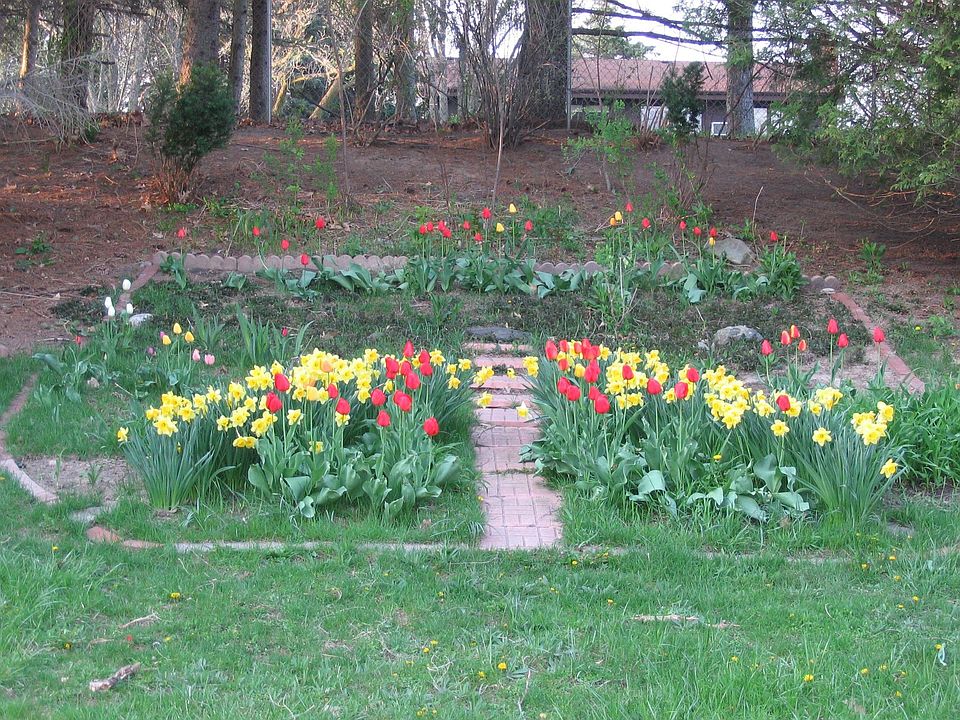 Flower Bed