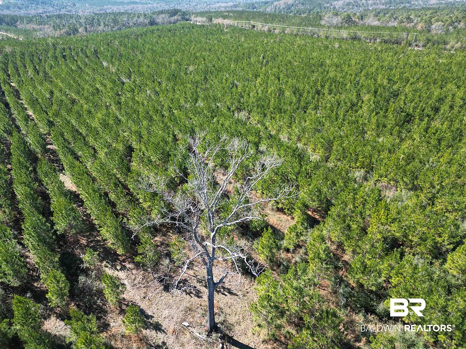 1st image of LOT 2 Robinsonville Rd