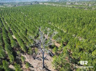 LOT 3 Robinsonville Rd, Atmore, AL 36502