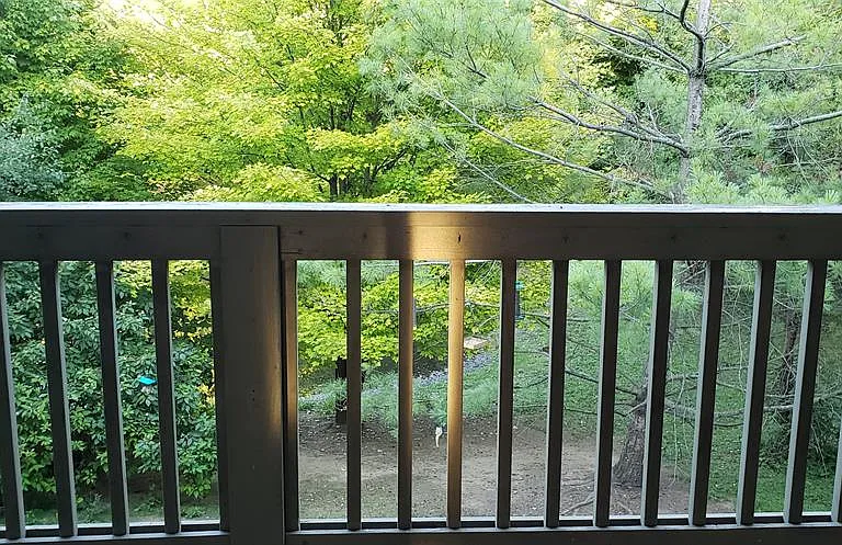 28292 Carlton Way Dr — Photo 20