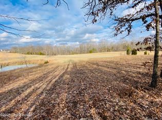 669 Junction Rd, Falls Of Rough, KY 40119