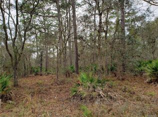 11464 S Rosewater Point, Homosassa, FL 34446