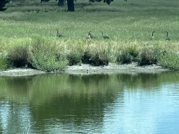 Tbd3 N Fm #730, Decatur, TX 76234