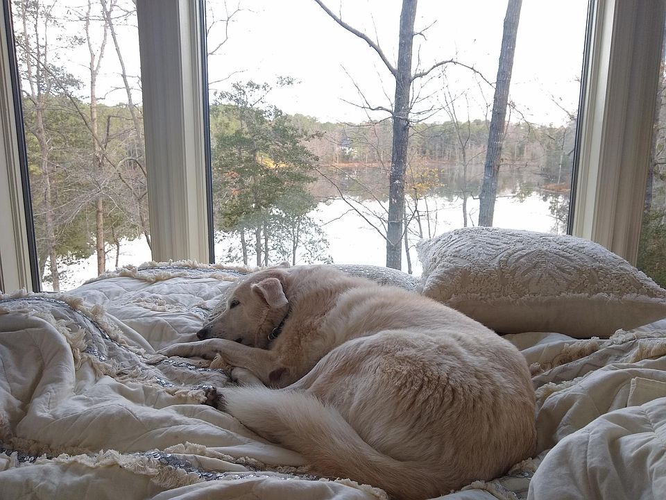 19968 Tower Hill Rd, Leonardtown, MD 20650 | Zillow