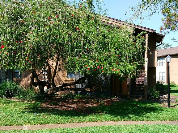 4th image of 3019 Antique Oaks Cir APT 128