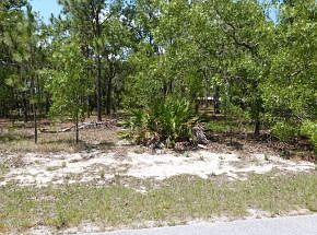 2nd image of 2139 W Christine Ln