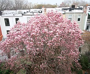 Sold by Betancourt & Associates Realty LLC