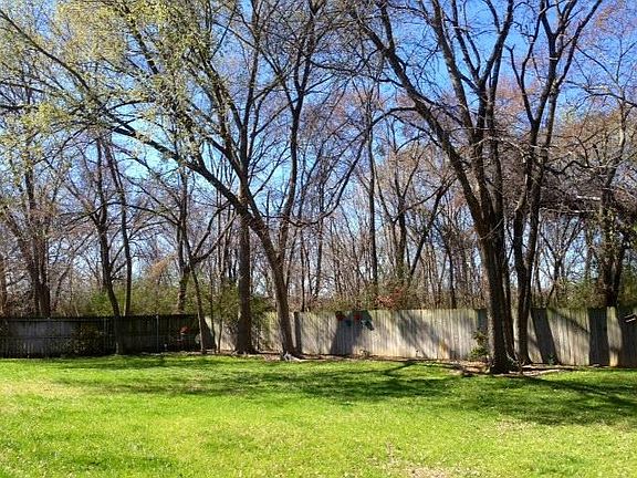 4th image of 1920 Amberwood Ct