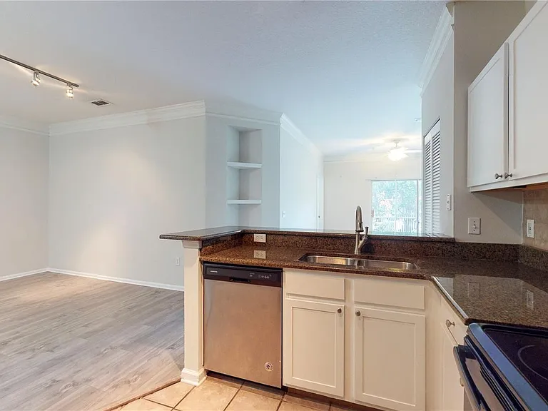 4207 S Dale Mabry Hwy #3110 — Photo 6