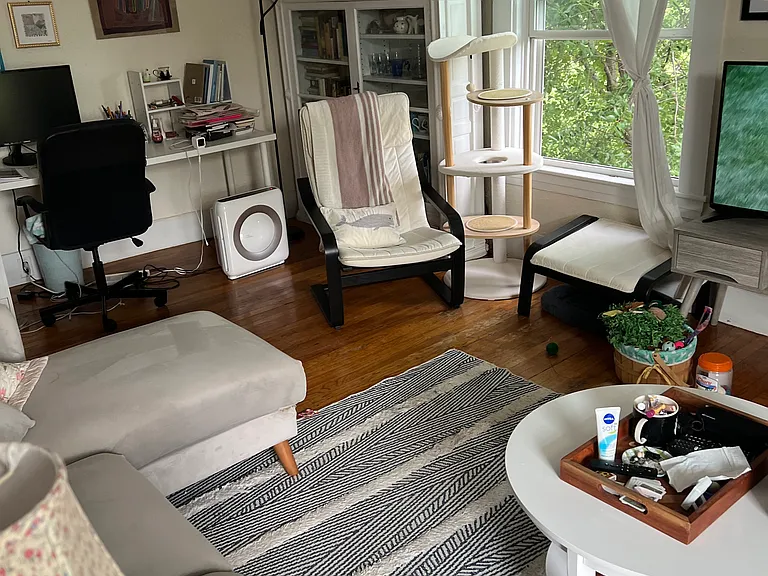 Huge living room/dining room combination