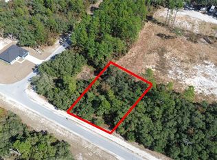 11 SW 72nd Ter LOT 11, Ocala, FL 34470