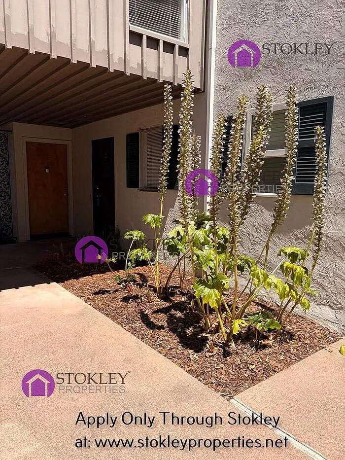 2 bed, 1.0 bath, 958 sqft, $2,395 — Photo 3
