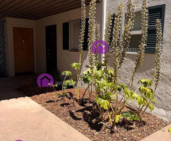 1411 Creekside Dr #2 — Photo 3