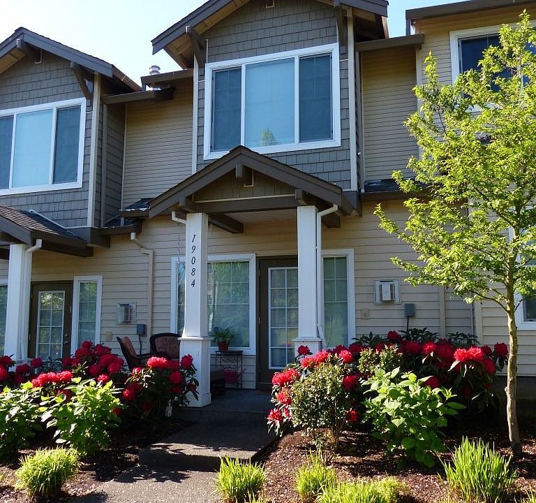 The azealas are blooming!