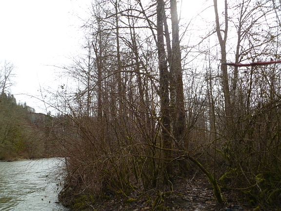 4th image of 15200 28th Pl NE