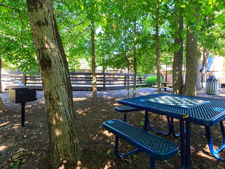 Outdoor Grill & Picnic Area