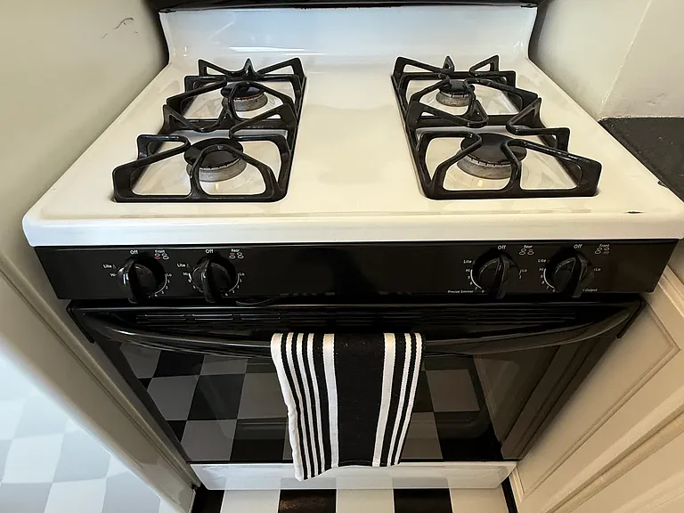 Gas fire stove and oven with clock/timer. Fits your Thanksgiving turkey.
