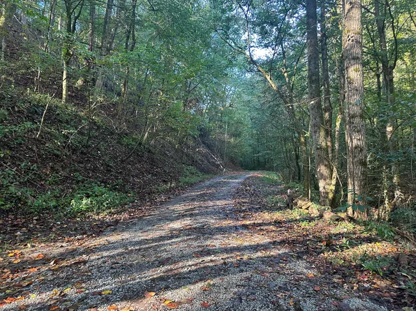 Holt Town Rd, Newport, TN 37821