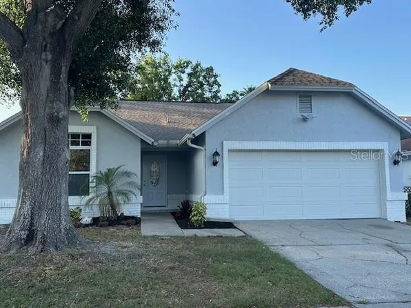 10906 Carnelian Ln, Riverview, FL 33578