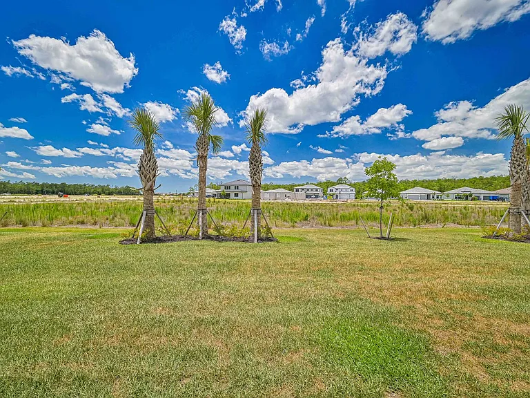 20492 Verawood Loop — Photo 3