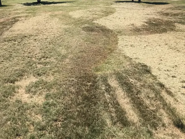 Parcels 9 14 Tylerton Rd, Tylerton, MD 21866