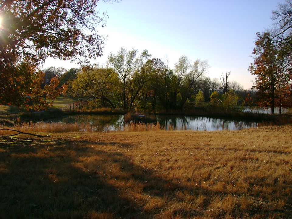 pond with duck island