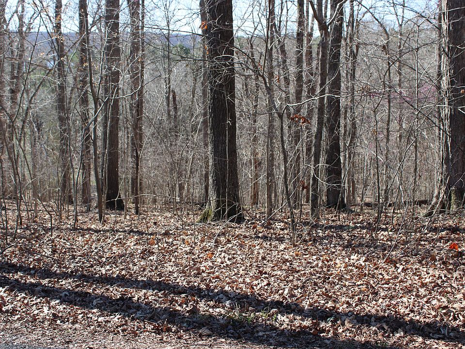 2nd image of LOT 44 And Lisanby Rd Lot 45