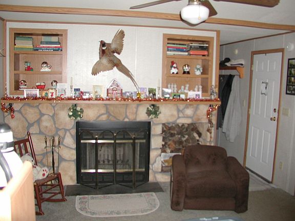 Fireplace in living room