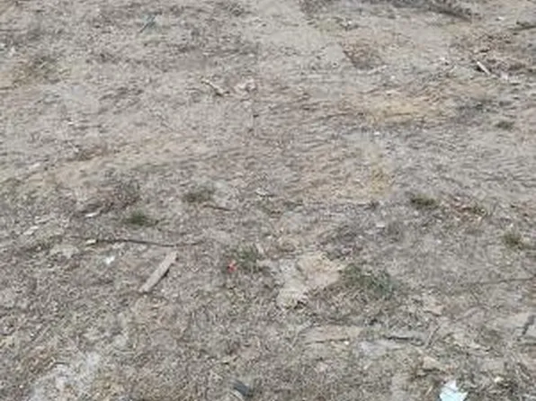 832 Us 13, Windsor, NC 27983