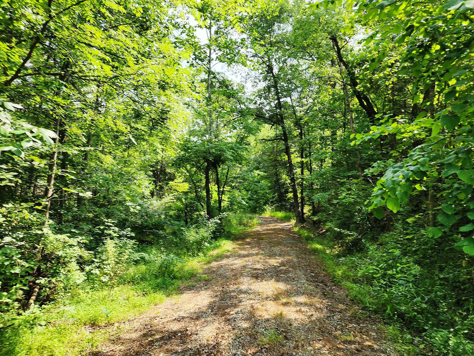 0 Dickens Rd, Oak Hill, OH 45656 MLS 223023125 Zillow