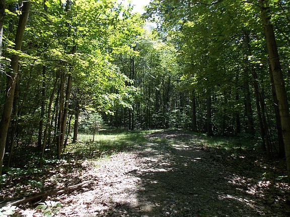 3rd image of Lot 1313 Spruce Hill