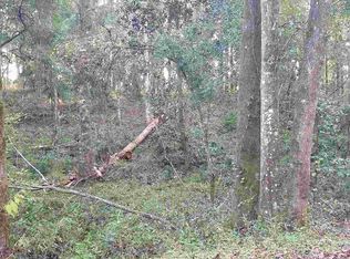 Xxx Frank Pais Rd, Havana, FL 32333