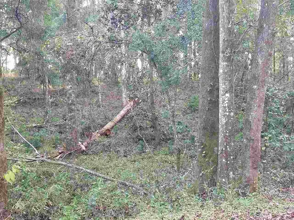 Xxx Frank Pais Rd, Havana, FL 32333