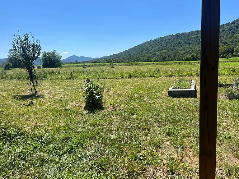 8810 Irish Rd — Photo 9