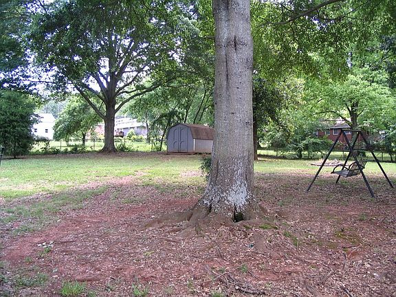 Back Yard (Shed included)