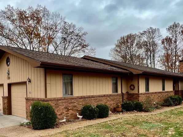 36 E New Thompson Lake Rd, Carbondale, IL 62901