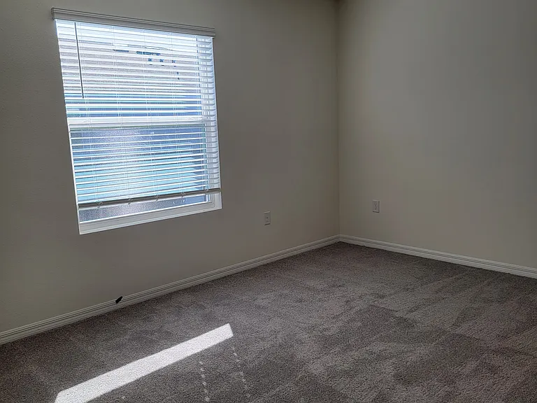 2892 Evergreen Elm Pass — Photo 12