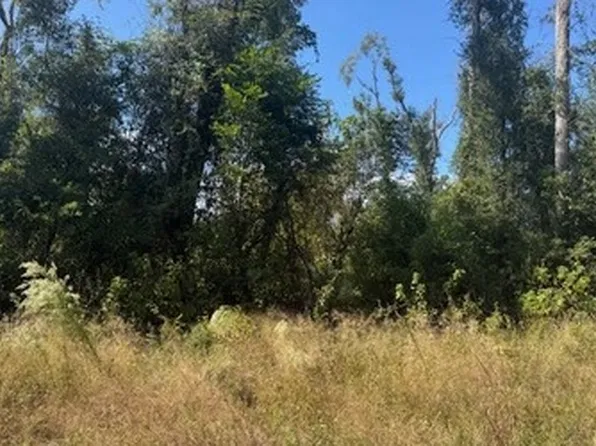 0 237th Rd, Live Oak, FL 32060