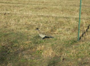 0 Anthony Rd, Falcon, MO 65470