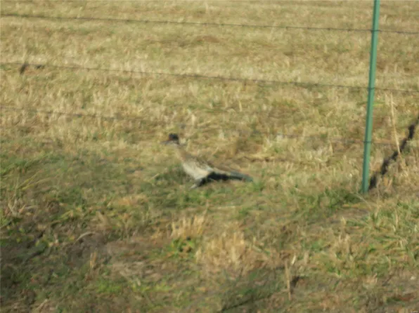 0 Anthony Rd, Falcon, MO 65470